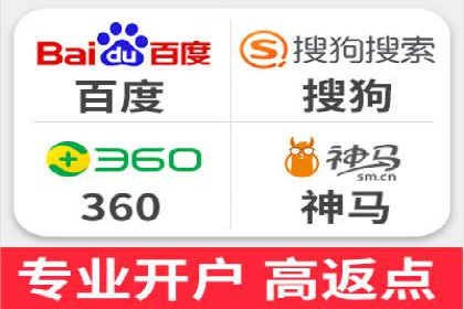 SEM托管公司案例分析：实战技巧全解析